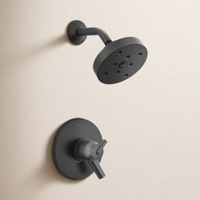 Trinsic 17 Series Dual-Function Shower Set