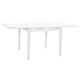 Arizona 69.5'' Extendable Dining Table