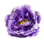 Rond de serviette-70050834