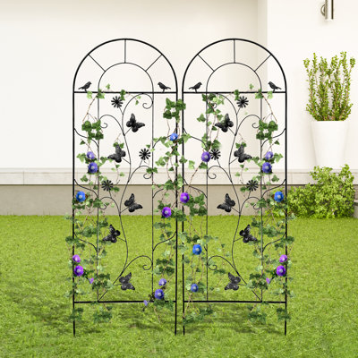 Fabozzi 59'' H X 20'' W Metal Black Garden Trellis for Climbing Plants or Roses, Black or Colorful, No Assembly Needed (Set of 2)