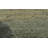 Contemporary One-of-a-Kind Rectangle 9'2" x 12' Rectangle Wool Area Rug in Beige and Green