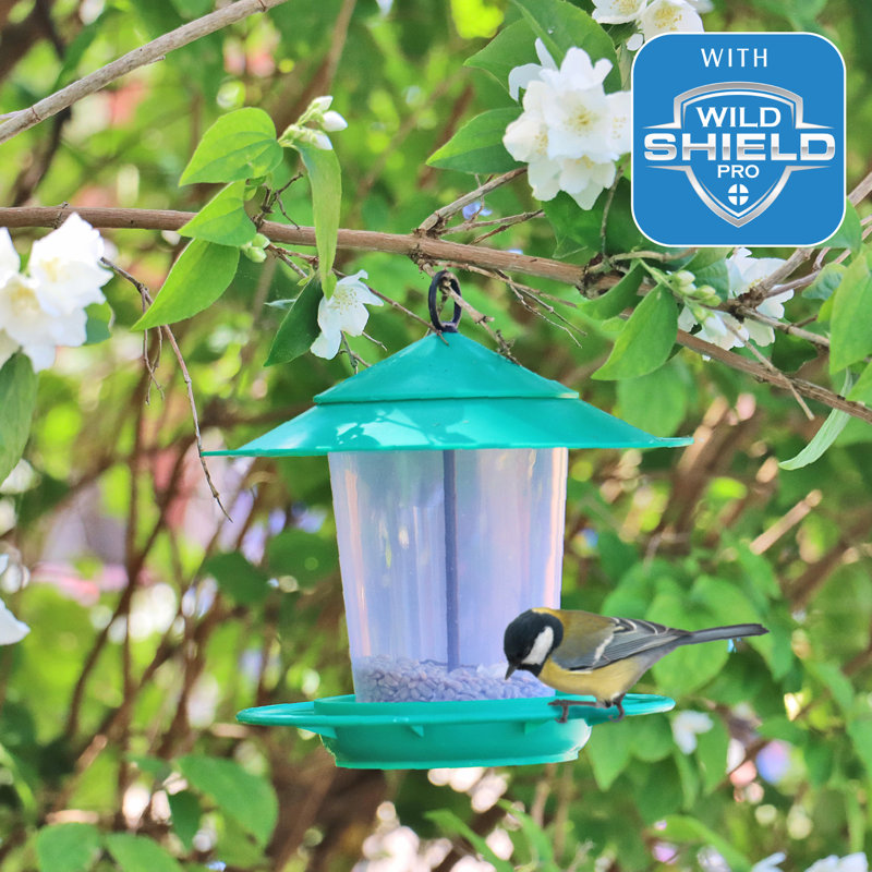 Katalina Hanging Tube Bird Feeder