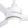 Ballog 52'' Ceiling Fan with LED Lights
