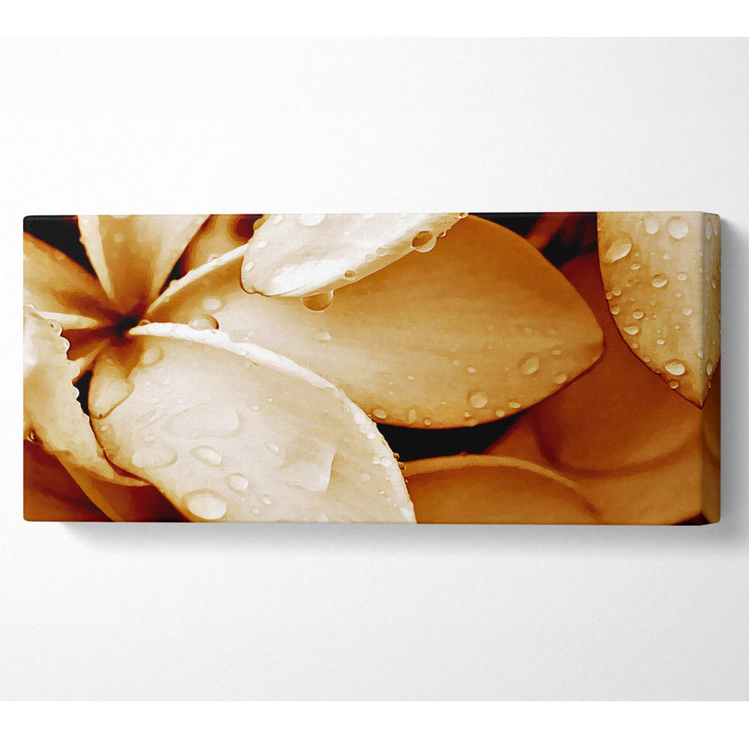 Petal Dew - Kunstdrucke auf Leinwand - Wrapped Canvas