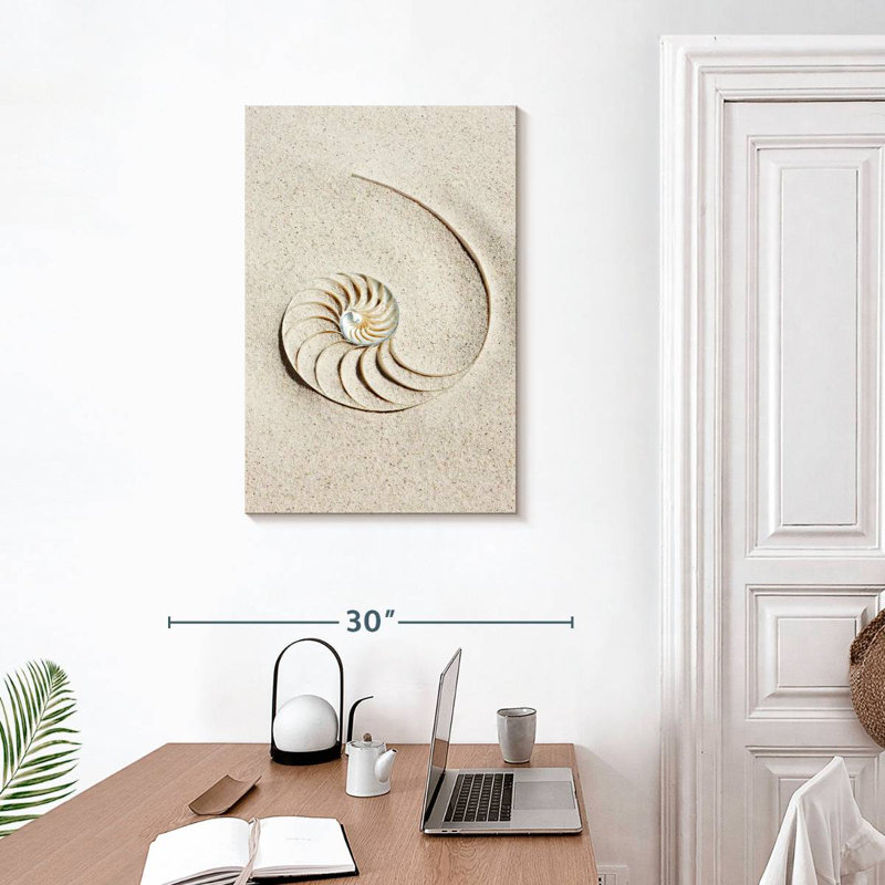 Brampt Nautilus coquille dans le sable, H 30 po x l 20 po