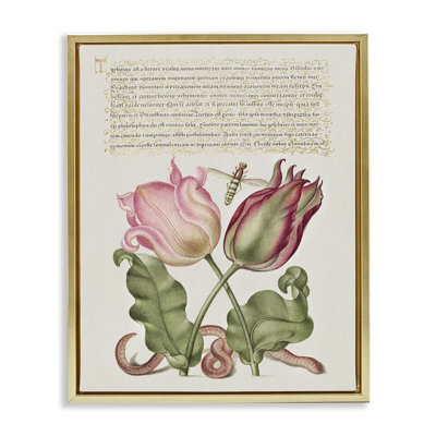 Tulipes et insectes, art mural encadré flottant antique par Melissa Wang