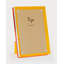 Lucite Frame W/Orange Back 4X6-200161380-200161381