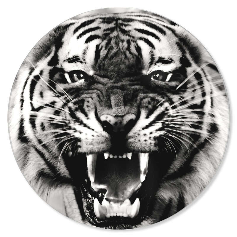Wild Tiger Round Acrylic Art by Oliver Gal, 16" H x 16" W