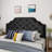 Queen & Full Sized Headboard - Black Velvet Upholstery With Button Diamond Stitch And Charming Nailhead Details, Assembly Required Contemporary Stylish Needed-1966826992-1966826997