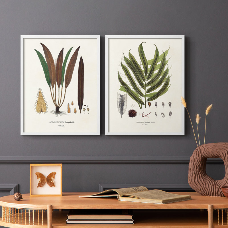 «Botanical Society Ferns I», reproduction encadrée de qualité supérieure - prête à être accrochée - aucun clou requis - aucun clou requis