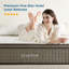 Pocket Sprung Mattress-96003112