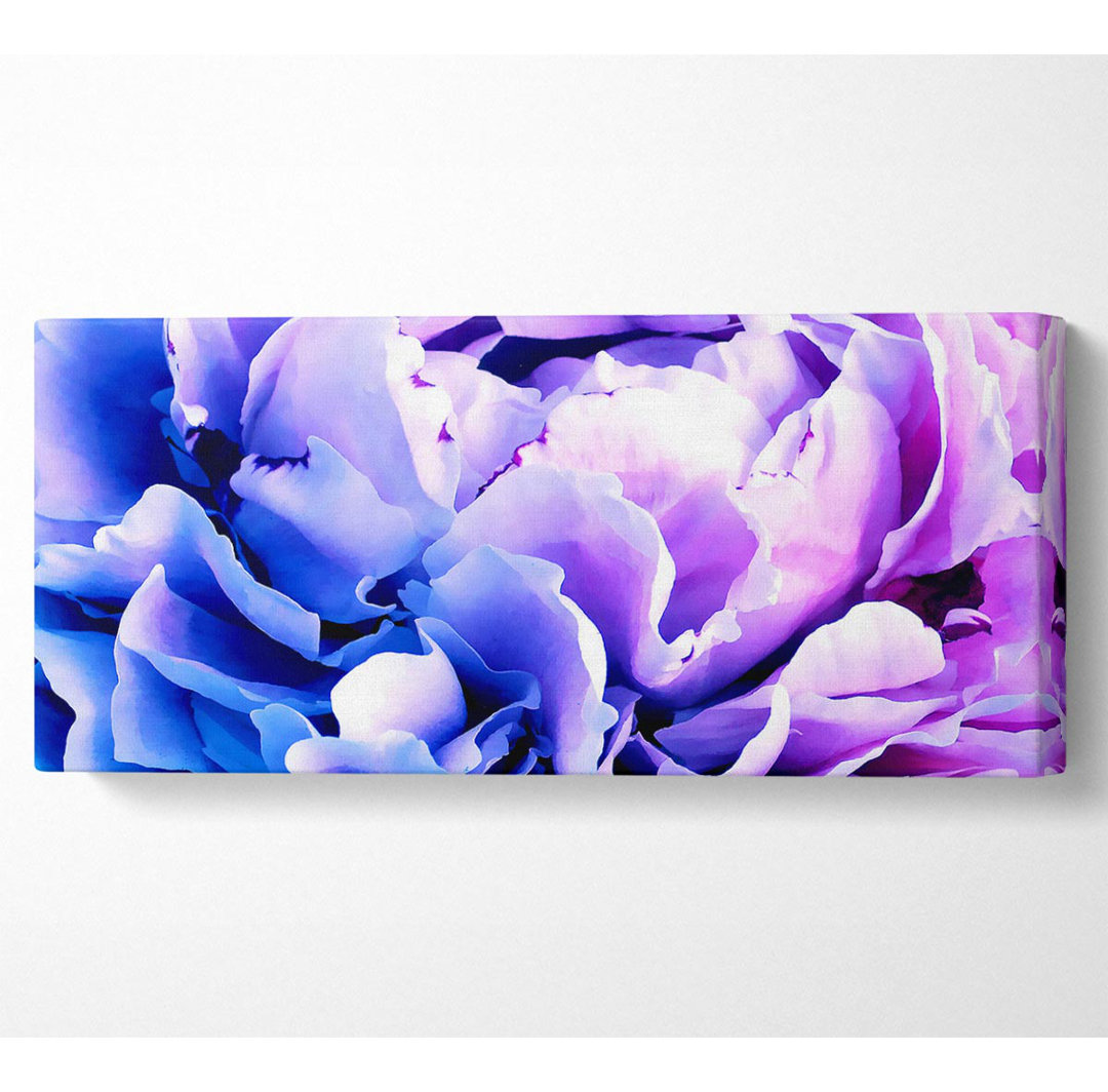 Carnation Beauty - Kunstdrucke auf Leinwand