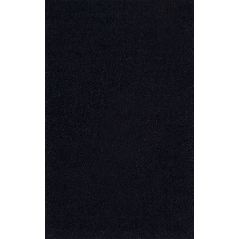 Tapis d'intérieur / extérieur Kalonni, L 72 po x L 108 po, Noir