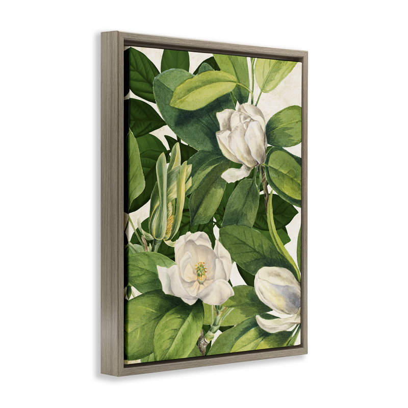 Art mural sur toile flottant "Flowering White Blossoms", conception par Susan Arnot, Cadre flottant orme Montalcino