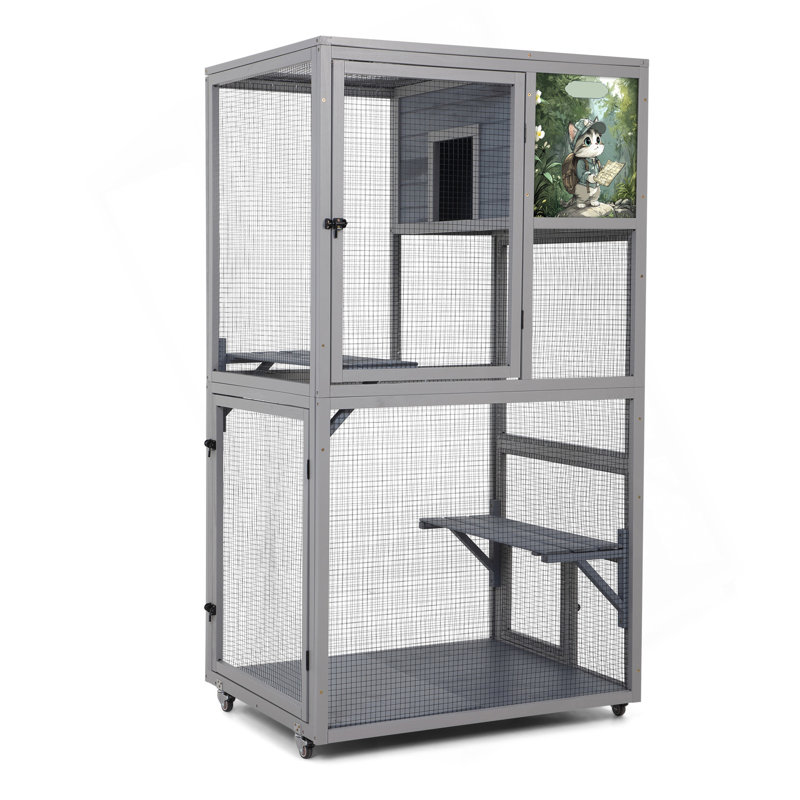 Enceinte d'extérieur pour chat Catio 66 po