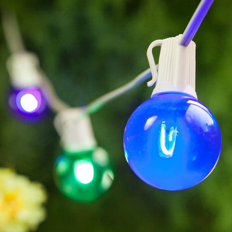 Alexandrea Outdoor 10 - Bulb 10'' Plug-in Globe String Light, White, Blue/Green/Yellow/Purple/Red