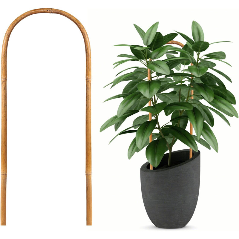 Paquet de 20 treillis de jardin en bambou naturel de 16 po - Support flexible et durable pour plantes grimpantes d'intérieur et d'extérieur