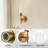 Wall Sconces, Hardwired Wall Light With Clear Glass Shade, Set Of 2-1479079236