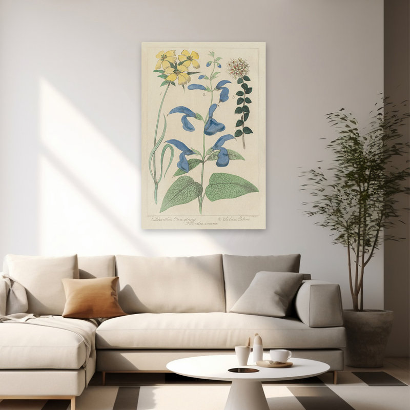 Rétro et campagne / fleurs de Salvia II, H 60 po x l 40 po