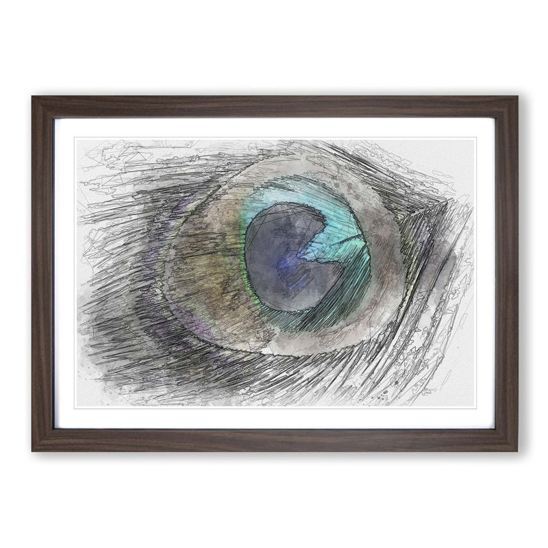 Delicate Peacock Feather in Abstract - Picture Frame Graphic Art Print on MDF, Walnut Framed, 36cm H x 48cm W x 2cm D