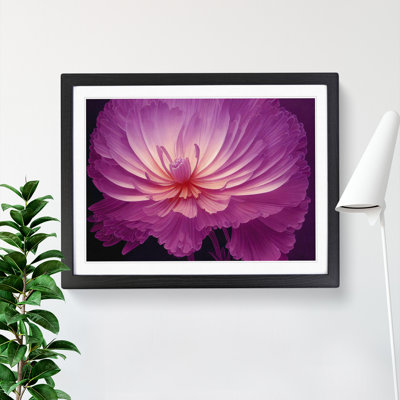 Miraculous Chrysanthemum Flower - Framed Print