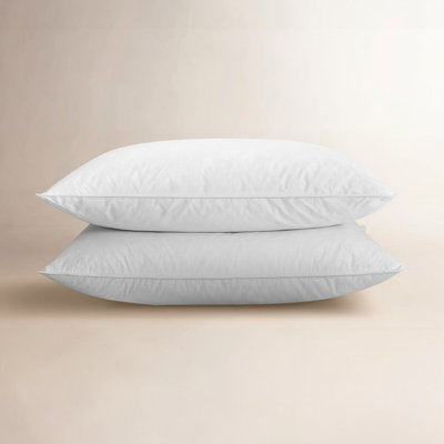 Plush Feather Pillow