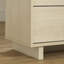 Noah  2-Drawer Nightstand