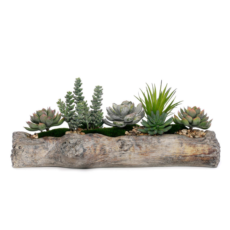Faux Succulent Plant in Cement Log