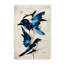 Nature Inspired Blue Birds-1116061025-1116061028-1116061050