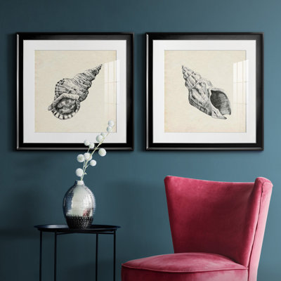 Seashell, croquis au crayon I Seashell, croquis au crayon I - ensemble de 2 cadres photo