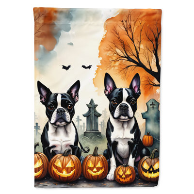 Drapeau de la maison d'Halloween terrier de Boston