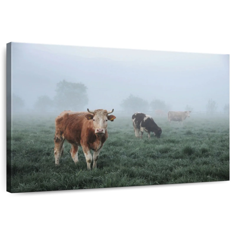 Vaches brumeuses, H 20 po x l 30 po