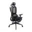 Fauteuil de bureau en filet ergonomique, inclinable ultime, support lombaire et repose-pieds