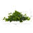 12'' Faux Foliage Plant in Foam Freestanding