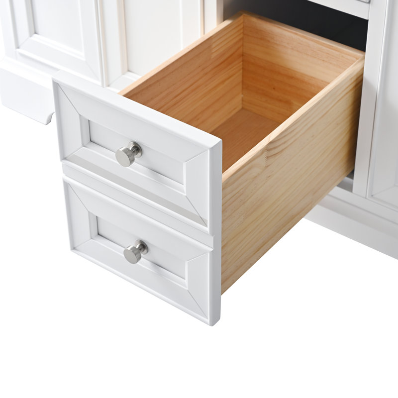 Haisley 54" W Double Vanity