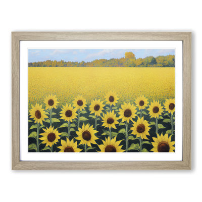 A Phenomenal Sunflower Field - Single Picture Frame Print