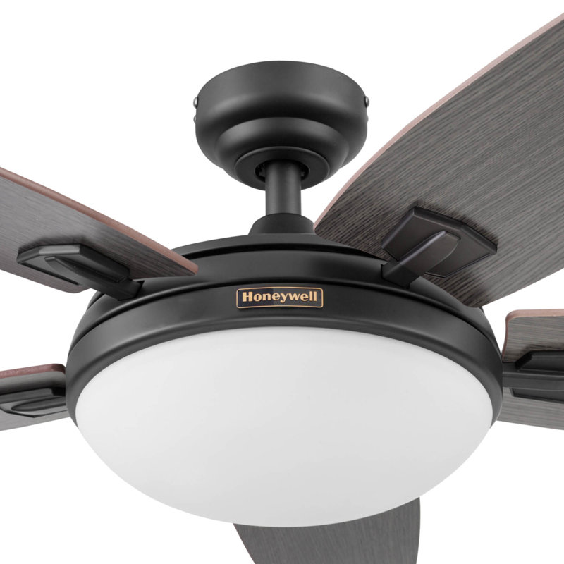 Ensemble de ventilateur de plafond 48 po avec télécommande Carmel, Bronze