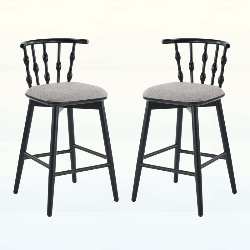 Chaises d'appoint d'intérieur, ensemble de 2, Gris