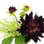 Dahlias And Eucalyptus Floral In Glass Vase