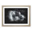 Lone Horse - Picture Frame Graphic Art-62802568-62802569