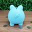 Tirelire cochon-1064784641-1064784642