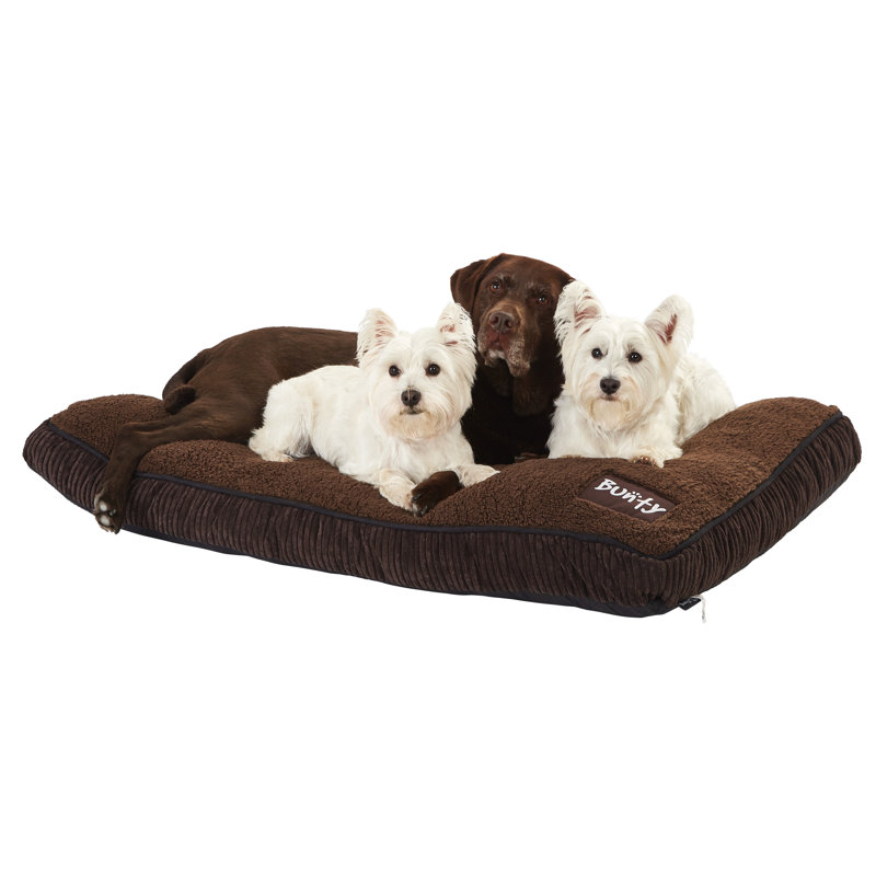 Arlot Polyester Pet Bed, 105 cm B x 69 cm T x 10 cm H