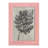 Blossfeldt Botanical III " Blossfeldt Botanical III "-1181262315-1181262294