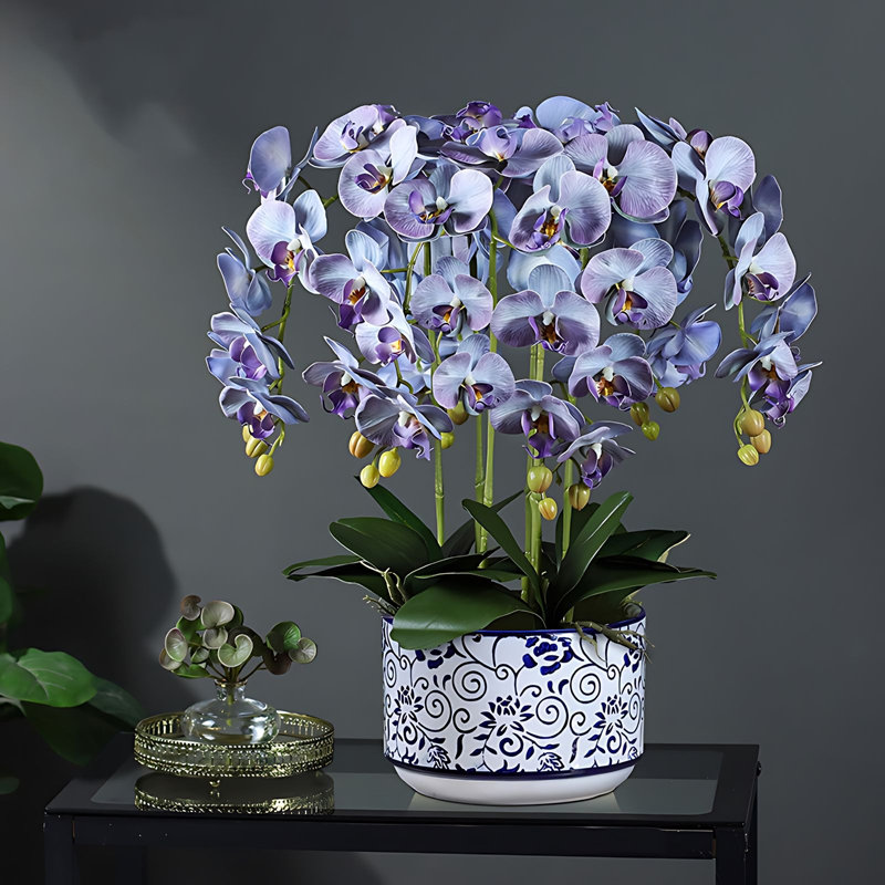 Arrangement d'orchidées, Bleu