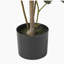 ARBRE DE LAURIER ARTIFIQUE 120CM-1069282270