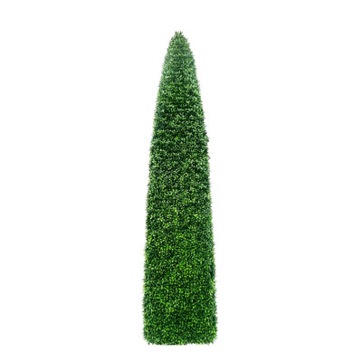 BOXWOOD OBLISK CONE TREE