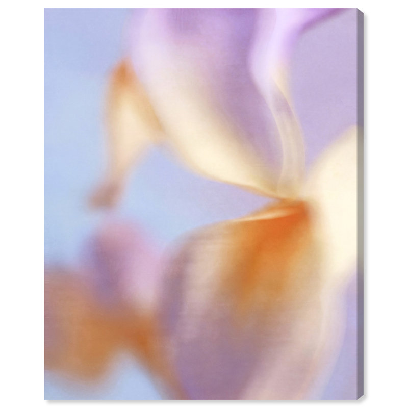 Blurred Venus Print by Oliver Gal, 20"H x 24"W, Gallery Wrapped