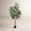 96" Fiddle Leaf Fig Tree in Pot