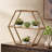 Hexagonal Shelf