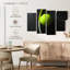 Green tennis racket and ball Sireci